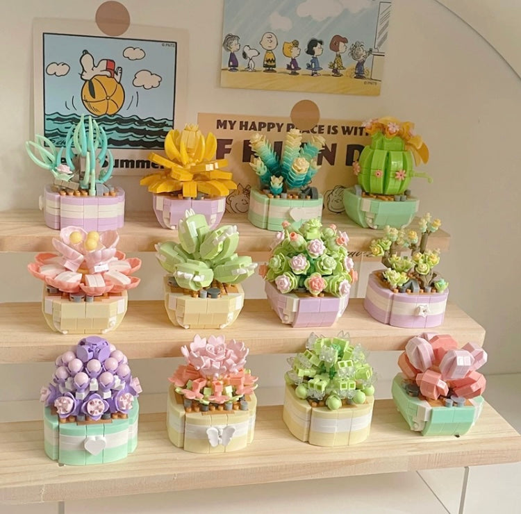 block succulents Mini Block Building Plant Dairy | Succulent Plants Cactus