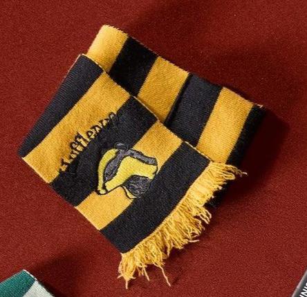 Harry Magical School Wizard Witch X Miniso | Magical School Four Houses Pet Scarf Red Yellow Green Blue - Kawaii items KawaiiGiftLand