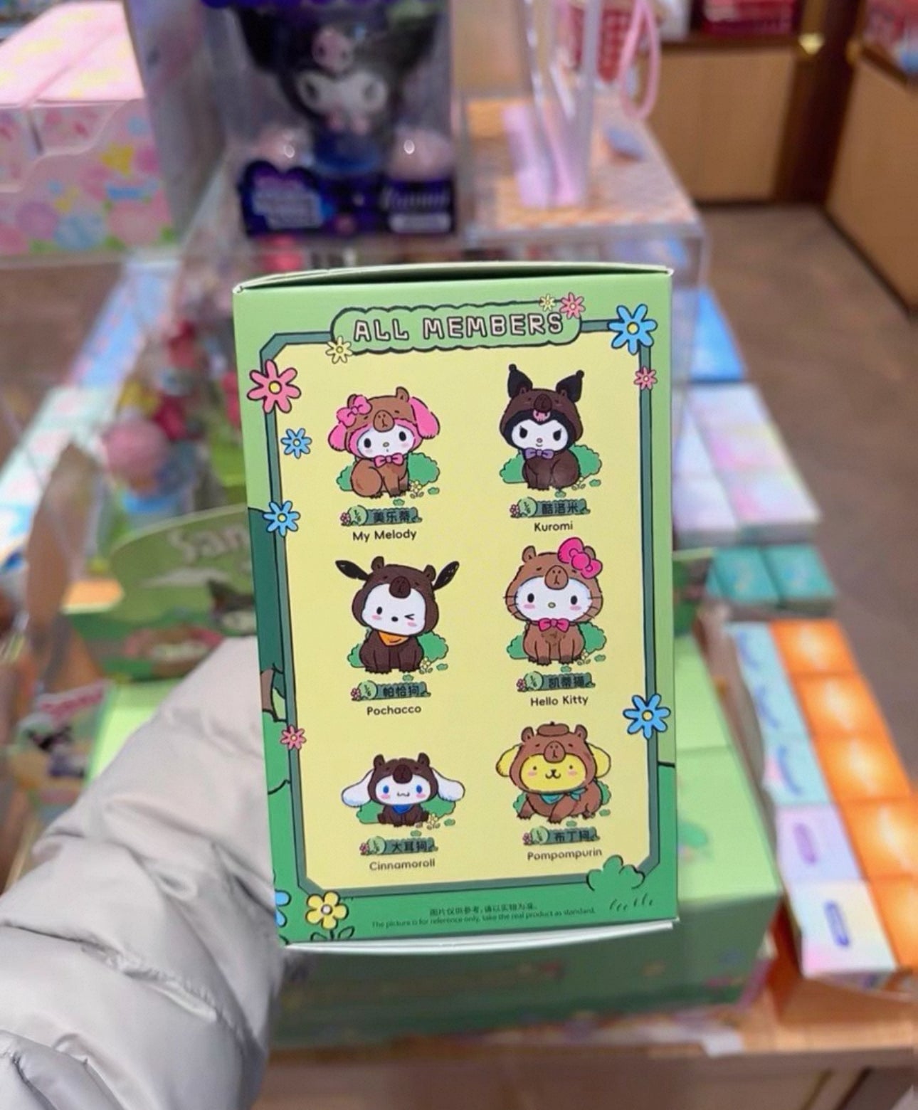 Miniso Sanrio Characters Chill Capybara | Hello Kitty Little Twin Stars My Melody Kuromi Cinnamoroll Pompompurin Pochacco - Collectable Toys Mystery Blind Box