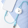 Miniso Joker Bear | 3A Fast Charging Type-C & Lightning Data Cable