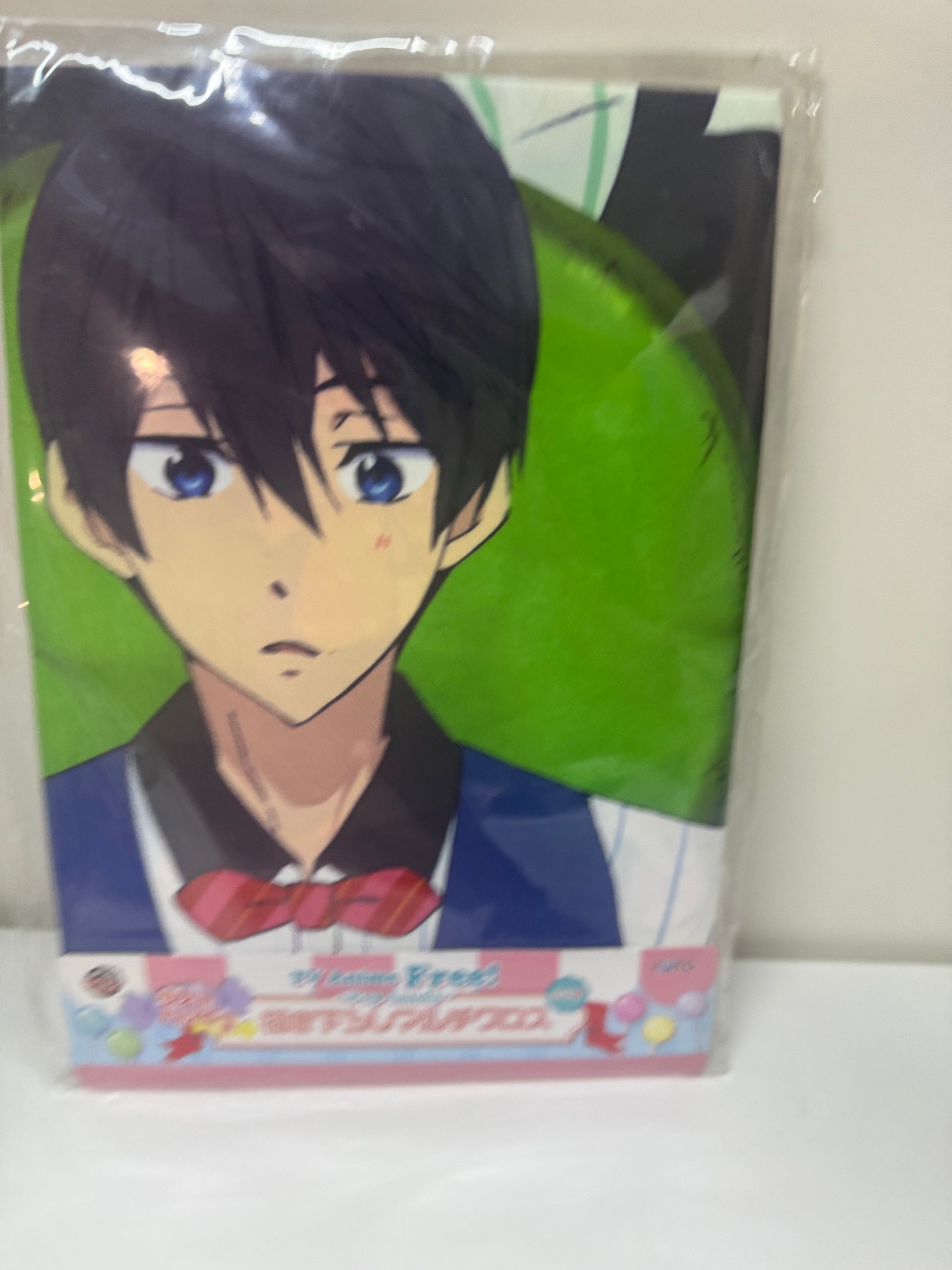 Japanese Anime Free! Iwatobi Swim Club Pop Candy | Last Prize Fabric Painting Alice Party - 2014 Cute Kawaii Item