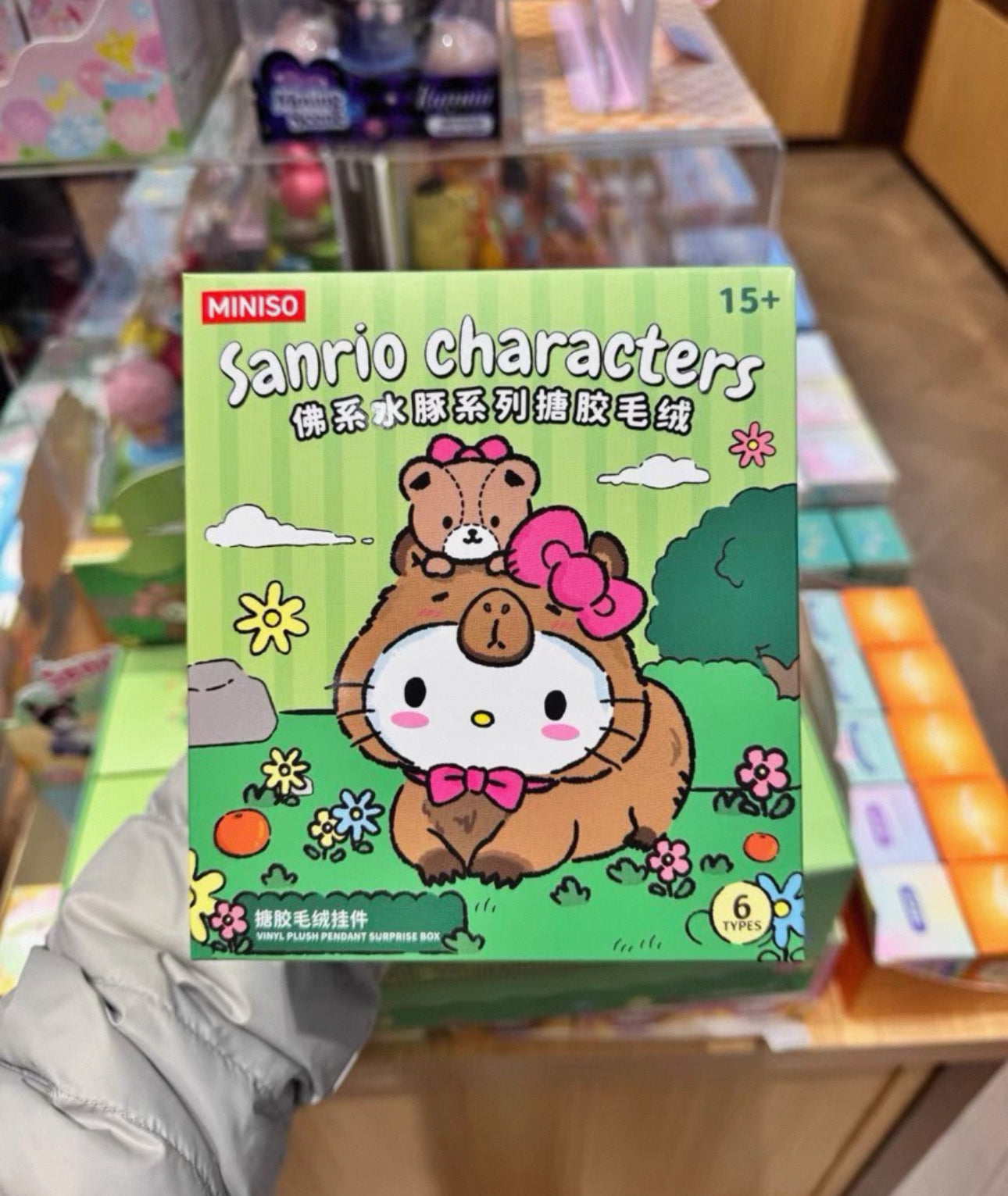 Miniso Sanrio Characters Chill Capybara | Hello Kitty Little Twin Stars My Melody Kuromi Cinnamoroll Pompompurin Pochacco - Collectable Toys Mystery Blind Box