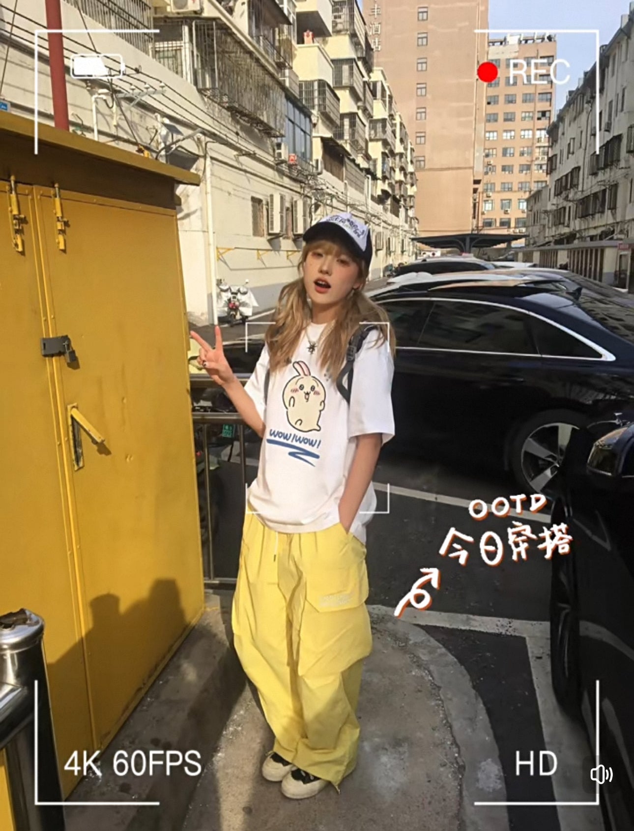 Japanese Cartoon ChiiKawa Casual Style T-Shirt Series | Wow Usagi - Kawaii Fashion Items