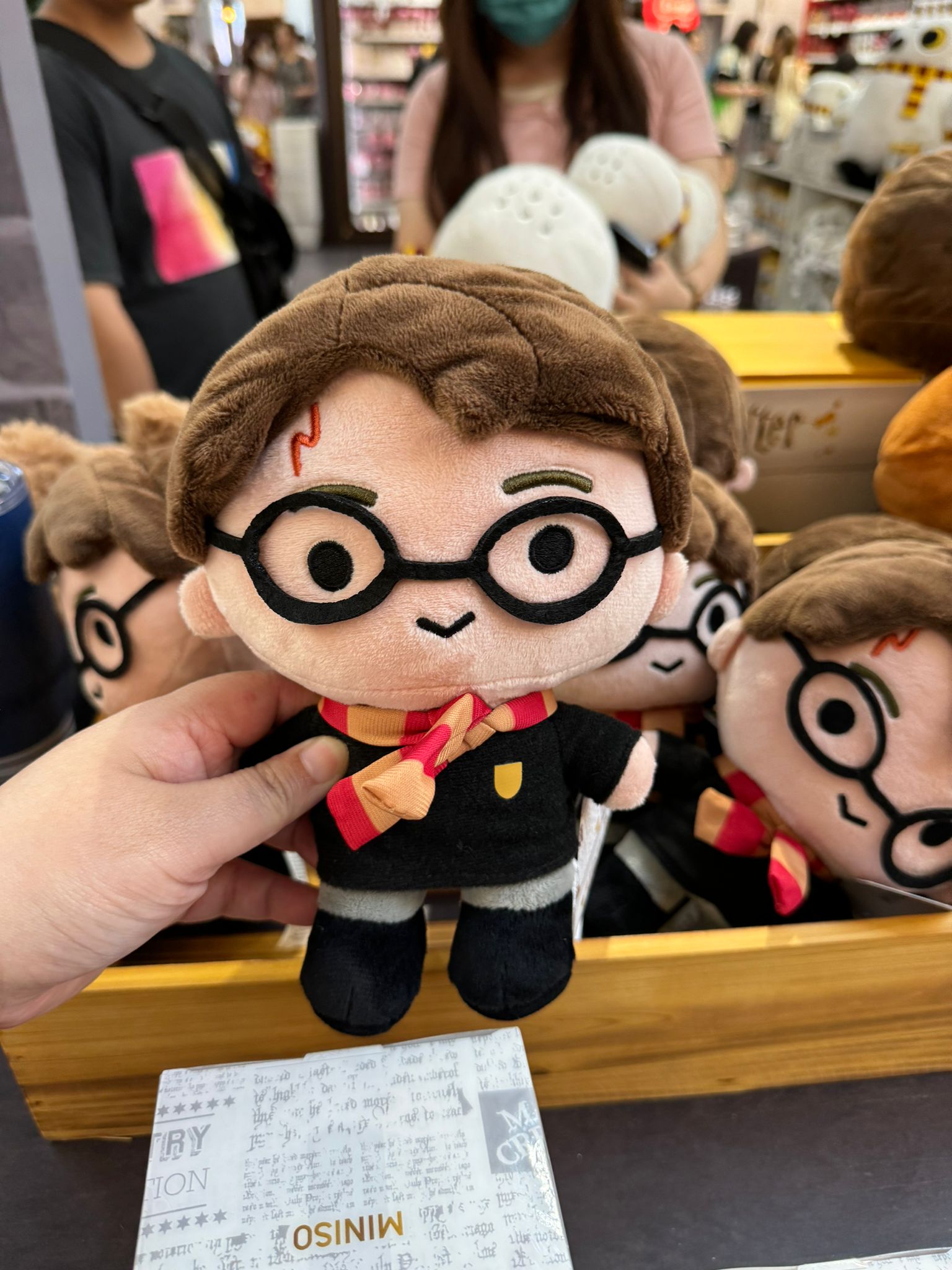 Harry Potter Magical School Wizard Witch X Miniso | Harry and His Friends Plush Doll - Kawaii items Room Decoration Doll