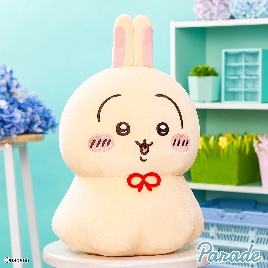 Plush Doll & Cushion - KawaiiGiftLand