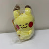 ポケモンセンター ゆると もちもちピカチュウ ミニぬいぐるみキーホルダー